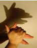 魔方格